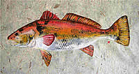 Red Fish
