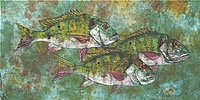 Mutton Snapper - Out to Sea